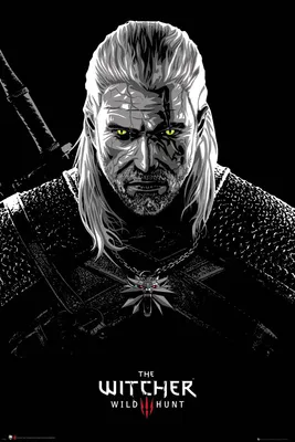 Produktbild von Witcher, The - Poster - Toxicity Poisoning