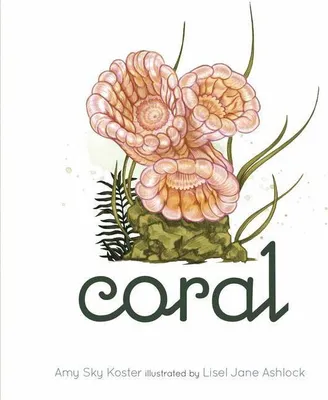 Produktbild von Coral