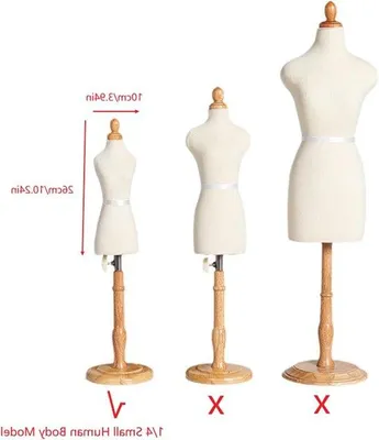 Image de Mannequins de vitrine féminins, 50-56 cm, socle en bois, réglables