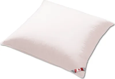 A white pillow is shown against a white background.