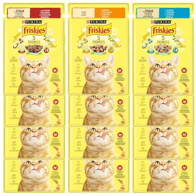 Zdjęcie produktu dla Purina Friskies Mokra Karma Dla Kota w Sosie 12x85g z Łososiem Wołowiną i Kurczakiem