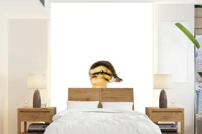 Produktbild von MuchoWow® Fototapete für Wohnzimmer oder Schlafzimmer Wandtapete Vinyl Motivtapete Ente - Gelb - Tiere - Natur - 160x220 cm - Bildschirmhintergrund