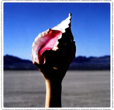 Produktbild von Killers: Wonderful Wonderful (PL)