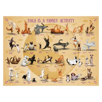 Image de EUROGRAPHICS Puzzle Le yoga est une activité familiale XL 500 pièces