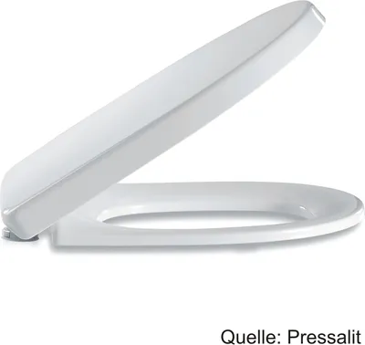 A white toilet seat and lid are shown in an open position against a white background.