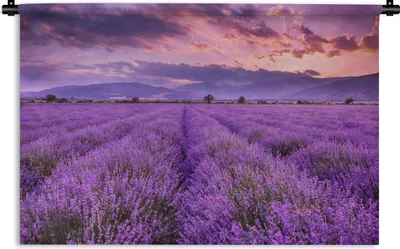 Produktbild von MuchoWow® Wandteppich Wandbehang Lavendel - Lila - Blumen - Feld 90x60 cm Tapisserie Dekoration Wandtuch - Wandskulpturen - Bildteppich
