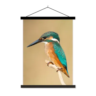 Produktbild von MuchoWow® Textilposter Eisvogel - Tiere - Vogel 90x120 cm mit schwarzem Rahmen - Dekoration