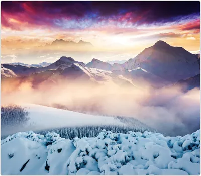 Produktbild von Spritzschutz Herdabdeckplatte Schneidebrett aus Glas Bewölkter Himmel im Winter 1-Teilig (60x52cm)