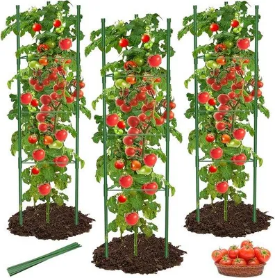 Immagine prodotto di Supporti per piante per pomodori, 130 cm, verde, 6 pezzi