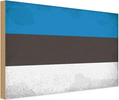 Produktbild von vianmo Holzschild 30x40 cm Estland Estonia Flagge Fahne Wappen
