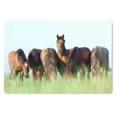 Produktbild von MuchoWow® Schreibtischunterlage Pferde - Tiere - Gras - Sommer 60x40 cm - XXL Mauspad - Großes Mauspad
