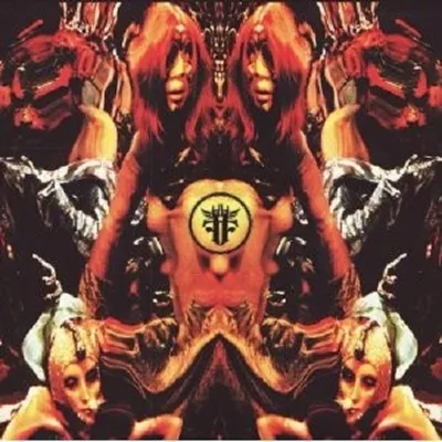 Produktbild von Farflung-Live At 013-Roadburn 2009