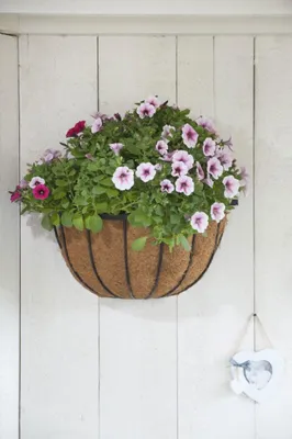 Produktbild von Hängekorb aus Schmiedeeisen, schwarz, mit 19 cm Höhe und 40 cm Durchmesser