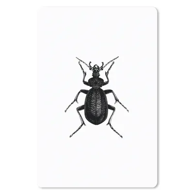 Produktbild von MuchoWow® Mauspad Mousepad Schwarz und weiß - Käfer - Vintage - Insekten 18x27 cm - Mousepads - Maus Mat - Pad - Mausunterlage