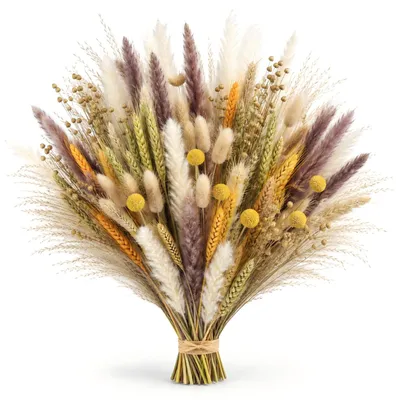 Pampasgras-Deko, 1 Stück, getrocknet, Boho-Stil, weiß, 44 cm