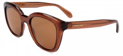 Produktbild von Ferragamo SF2000S Transparent brown 52/21/145 Damen Sonnenbrillen