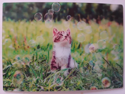 Produktbild von 3 D Ansichtskarte Kätzchen mit Seifenblasen, Postkarte Wackelkarte Hologrammkarte, Tier Katze