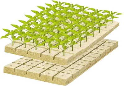 100 Stück Steinwoll-Anzuchtmatten, 2,5 x 2,5 x 2,5 cm, Ideal zum Schneiden, Klonen und Vermehren mit guter