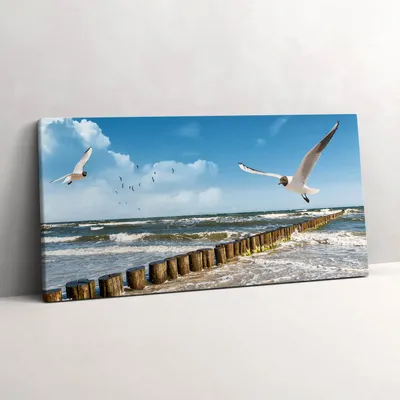 Produktbild von Vogel am Meer – Leinwandbild Wandbild – 100x50 cm – Leinwandbilder – Wandbilder – Schlafzimmer – Flur