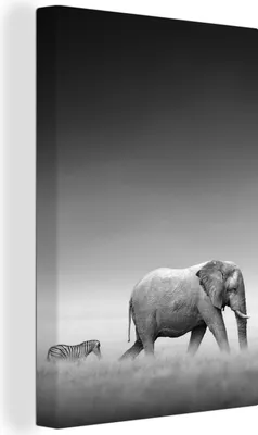 Produktbild von OneMillionCanvasses® - Leinwandbilder - 90x140 cm, Elefant - Tiere - Landschaft - Schwarz und weiß - Zebra, Wandbilder Kunstdruck Wanddekoration - Foto auf Leinwand - Gemälde auf - Wandschmucke - Schlafzimmer