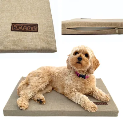 Immagine prodotto di Tappetino per cani DOTTY S 60x40 cm beige – comoda cuccia per cani di piccola taglia, tappetino da viaggio per auto e trasportino, idrorepellente, resistente e lavabile