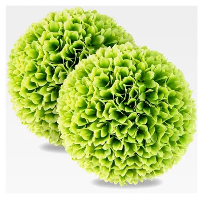 Produktbild von 2 Stück Buchsbaumkugeln 28 cm, UV-beständige Buchskugeln, künstliche Pflanzen, Formschnittbälle für Balkon und Garten