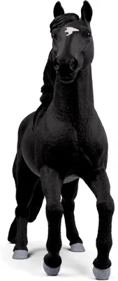 Obrázok produktu pre schleich 14918, 5 rok / roky, Čierna, Plast