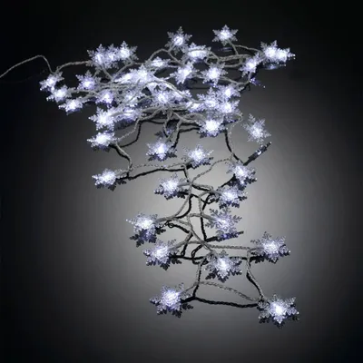 Image de Guirlande flocons 50 Led