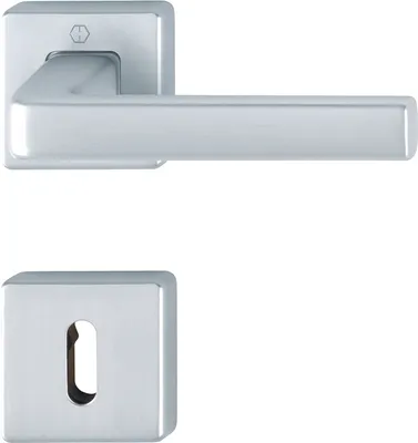 A silver door handle and escutcheon plate are shown against a white background.