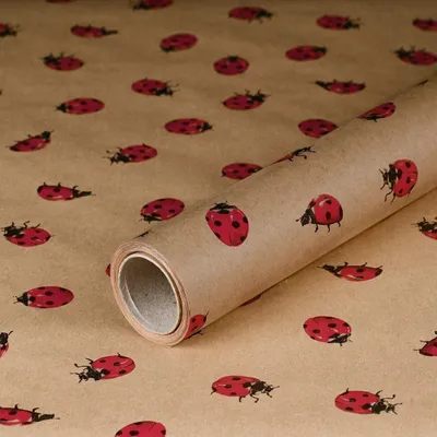 Image de Papier cadeau « Coccinelle », marron, 0,70 x 10 m, papier kraft - Anniversaire