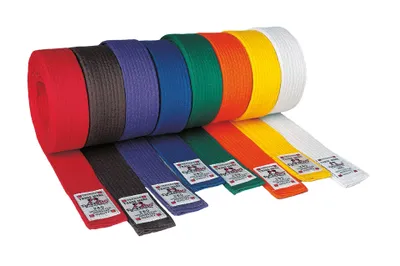 Produktbild von DANRHO Judo / Ju-Jutsu Gürtel. 4 cm breit violett 330