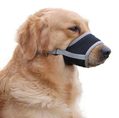 Produktbild von Maulkorb für Hunde, atmungsaktiv, weich, verstellbar, Grau, Größe M