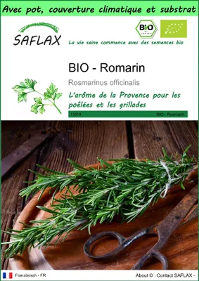 Image de SAFLAX Garden to go -- Romarin - 40 graines - Rosmarinus