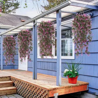 Productafbeelding van Famanu Kunstplantenset, 4 stuks - Hangende planten voor binnenshuis