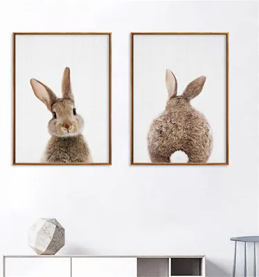 Obrázok produktu pre Trayosin sada plagátov s králikom dekorácie do detskej izby (50x70cm) sada 2