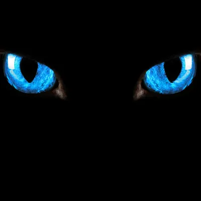 Produktbild von Wallario Sticker / Aufkleber für Kühlschrank / Geschirrspüler / Küchenschränke, selbstklebende Folie - 60 x 60 cm, Motiv: Blaue Katzenaugen bei Nacht