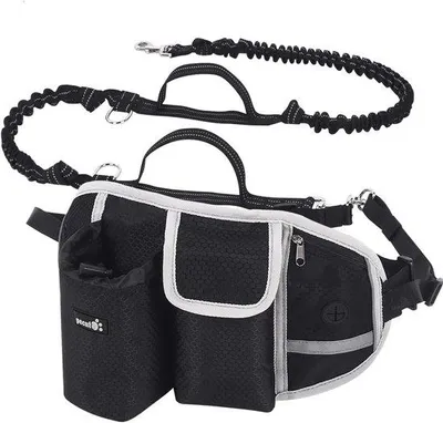 Productafbeelding van Famanu handsfree hondenriem met tailleband en schokdemping - ideaal voor wandelen en joggen