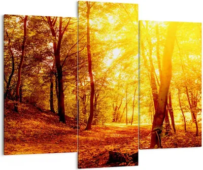 Produktbild von Bild auf Leinwand - Leinwandbild - Wald Baum Natur - 130x100cm - Wand Bild - Wanddeko - Wandbilder - Leinwanddruck - Bilder - Kunstdruck - Wanddekoration - Leinwand bilder - Wandkunst - CB130x100-3722