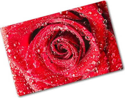 Produktbild von Tulup Glas Herdabdeckplatte - 80x52 cm - Glaskeramikkochfeld-Abdeckung Spritzschutz Glasabdeckplatte - Einteilig - Blumen & Pflanzen - Wassertropfen Rose - Rot