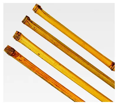 Produktbild von Bambusstab mit einer Länge von 240 cm und einem Durchmesser von 24-27 mm