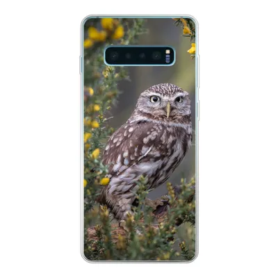 Produktbild von MuchoWow® Handyhülle Schutzhülle Hülle für Samsung Galaxy S10 Lite Eine kleine braune Eule sitzt da und starrt nach vorne Silikon Softcase Handy Hülle - Schutz