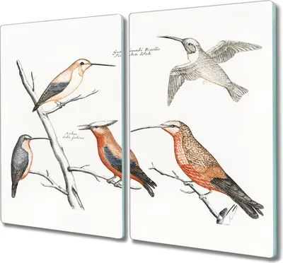 Produktbild von Coloray Schneidebrett Herdabdeckplatte 2x30x52 cm Kochplattenabdeckung Küchenbrett Hackbrett - Tiere Vögel
