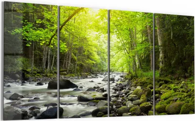 Produktbild von DEQORI Glasbild Echtglas 4x30x60 cm 'Steiniges Flussbett' Wandbilder XXL groß