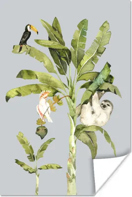 Produktbild von MuchoWow® Poster Dschungel - Faultier - Vogel 20x30 cm - Papierdruck