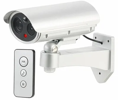 Image de Caméra de surveillance factice avec détecteur de mouvement et fonction alarme