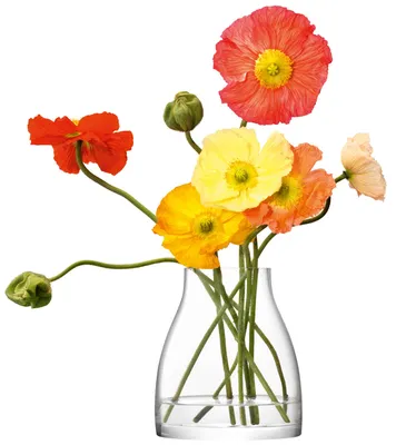 Produktbild von LSA | Vase FLOWER, klar, H21cm