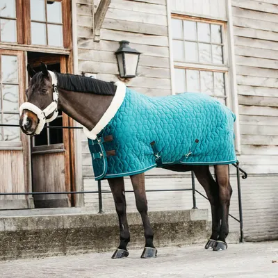 Produktbild von Kentucky Horsewear Turnierdecke Samt 160g - Smaragd