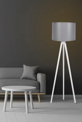 A modern living room scene with a sofa, a coffee table, and a floor lamp.