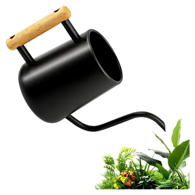 Produktbild von Kleine Gießkanne 1L, Gießkanne für Zimmerpflanzen mit langem Auslauf und komfortablem Holzgriff, Edelstahl-Gießkanne für Topfpflanzen und Sukkulenten, schwarze Gartengießkanne für drinnen