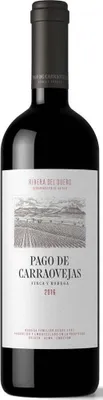 Produktbild von Tinto 2022 Ribera del Duero | Spanien | 15% vol | 0,75 l
